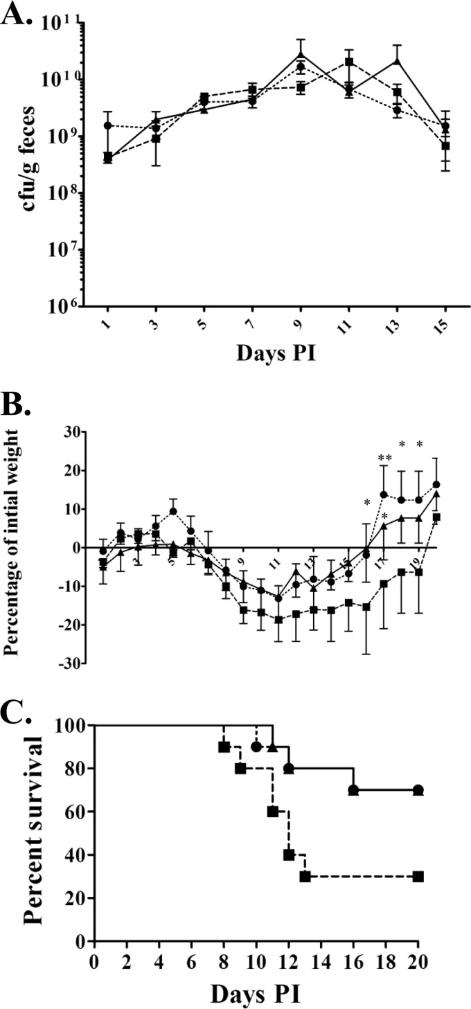 FIG 3