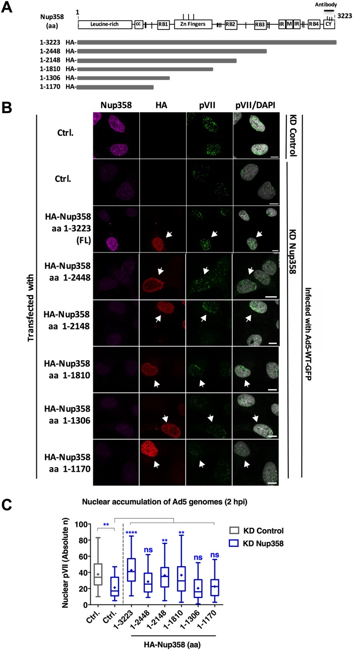 FIG 3