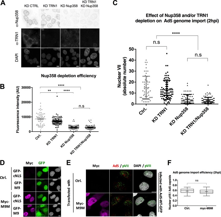 FIG 6