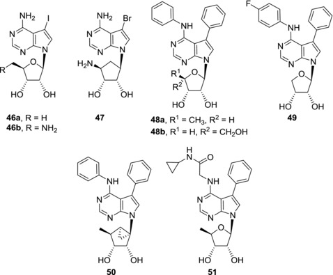 Figure 13