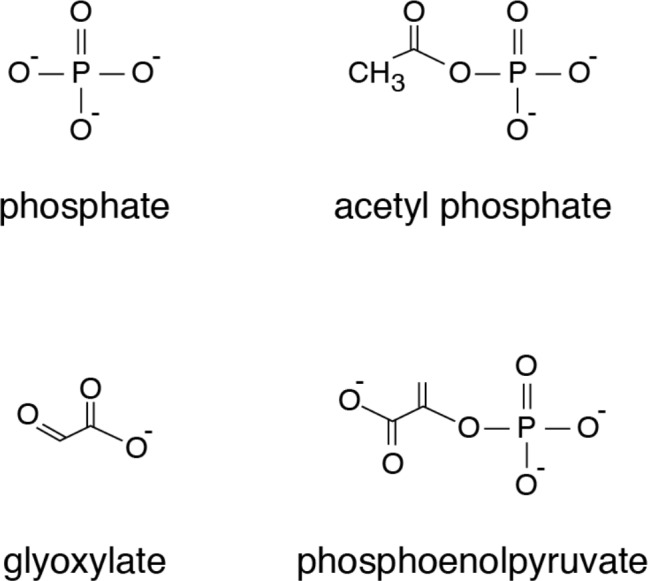 Figure 3—figure supplement 2.