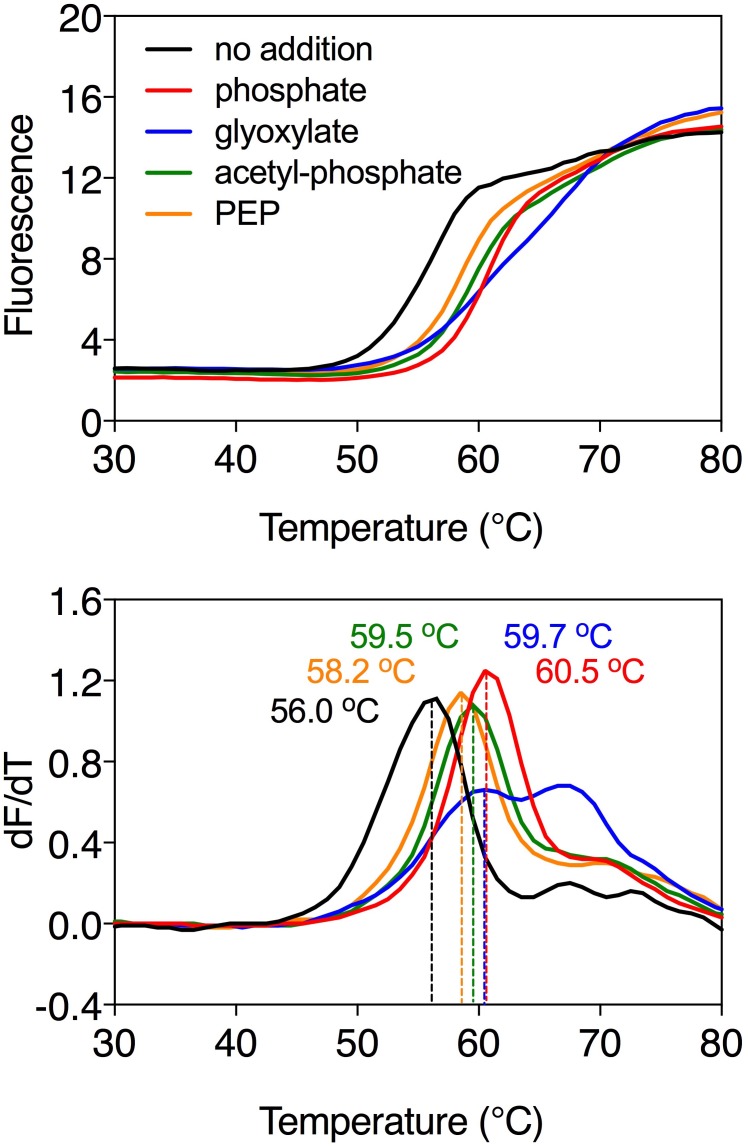 Figure 3—figure supplement 1.