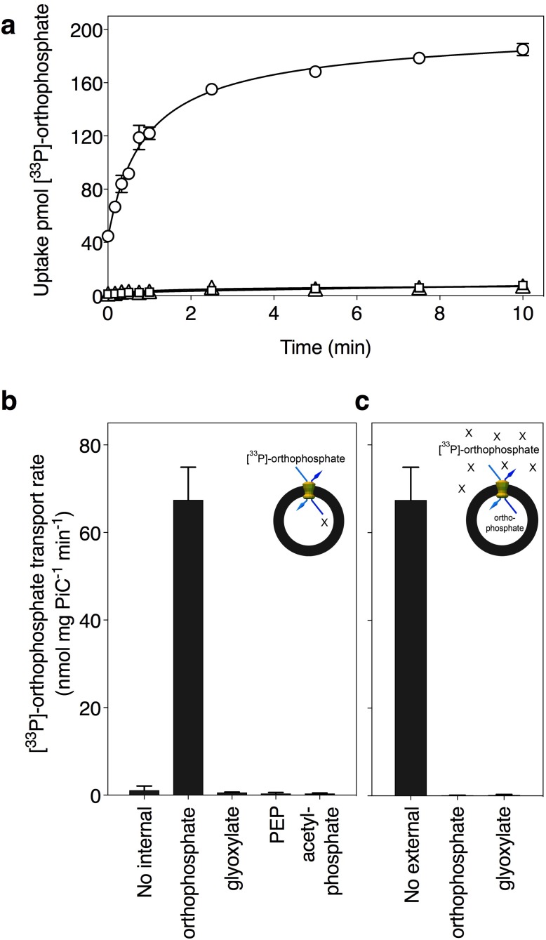 Figure 3—figure supplement 3.