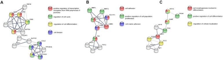 FIGURE 4