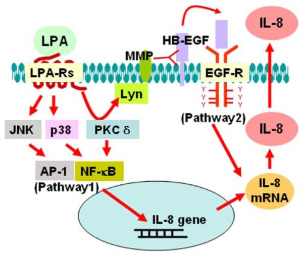 FIGURE 13