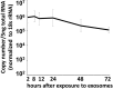 Figure 6