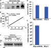 Figure 5