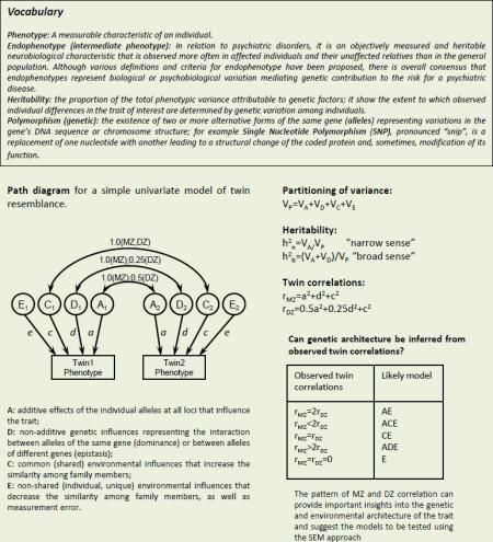 Box: Assessment of heritability using twin data