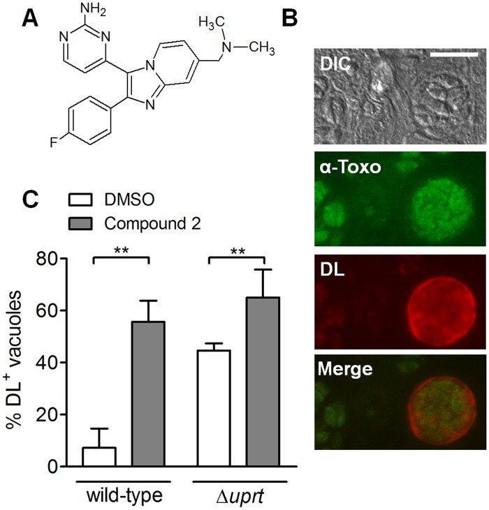 Fig 1