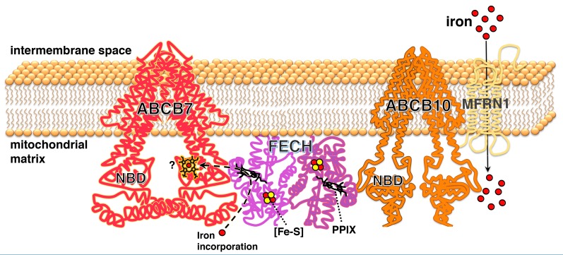 Figure 7.