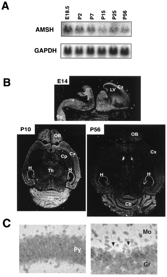 FIG. 6