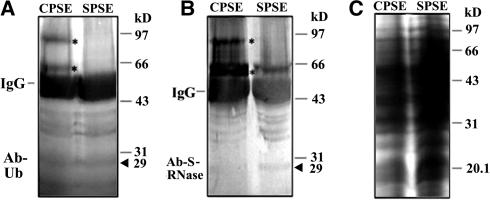 Figure 9.