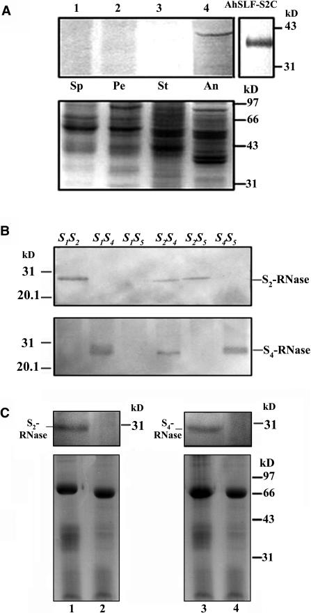 Figure 3.