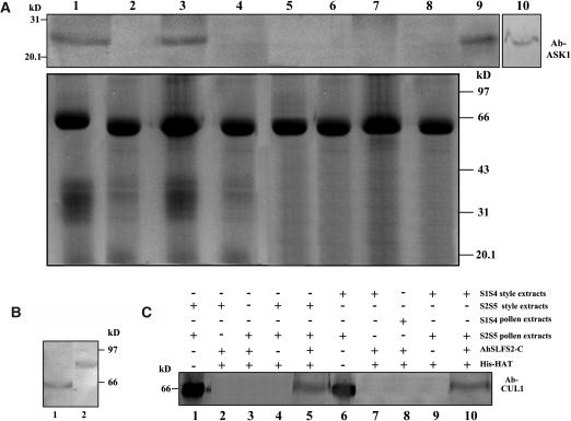 Figure 5.