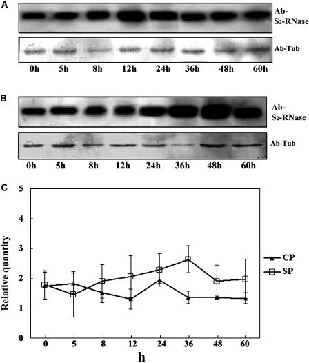 Figure 10.