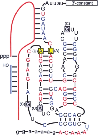 FIGURE 4.