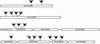 FIG. 2.