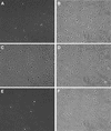 FIG. 5.