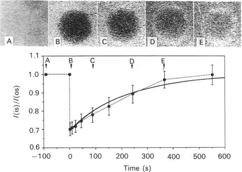 Fig. 1.