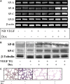 <b>Figure 6.</b>
