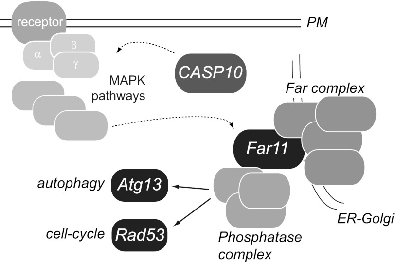 FIGURE 7.