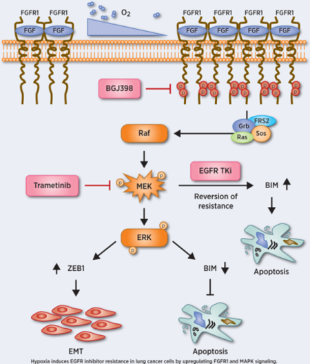 graphic file with name nihms-1625998-f0001.jpg