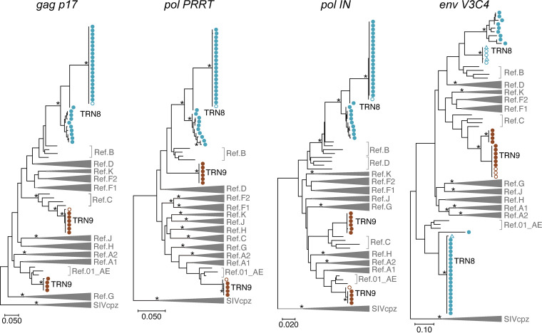 FIG 3