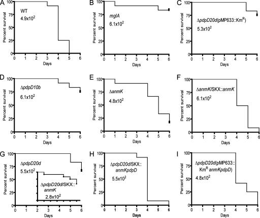 FIG. 7.