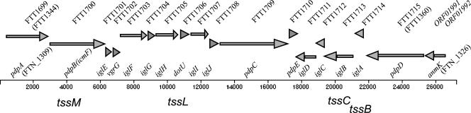 FIG. 1.