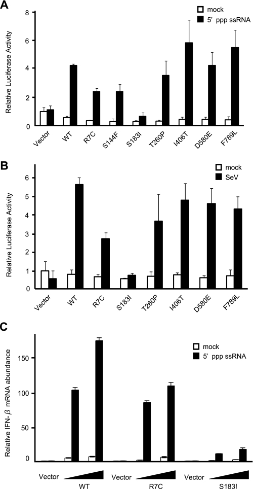 FIGURE 2.