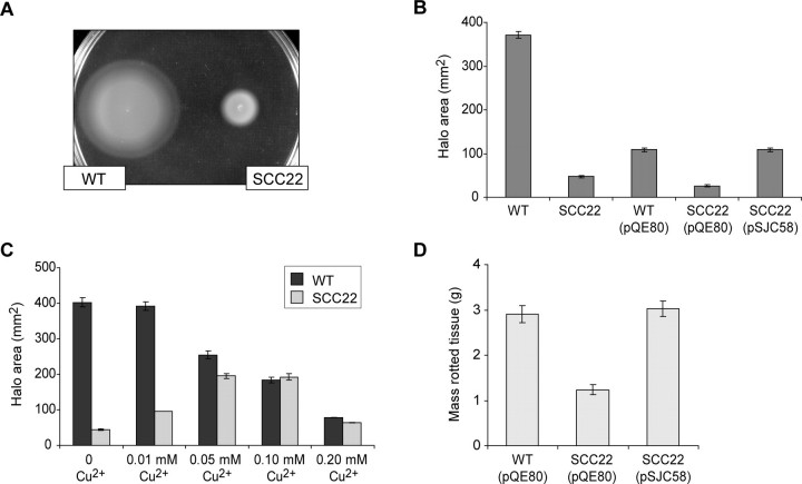 FIGURE 4.