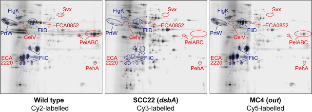 FIGURE 1.