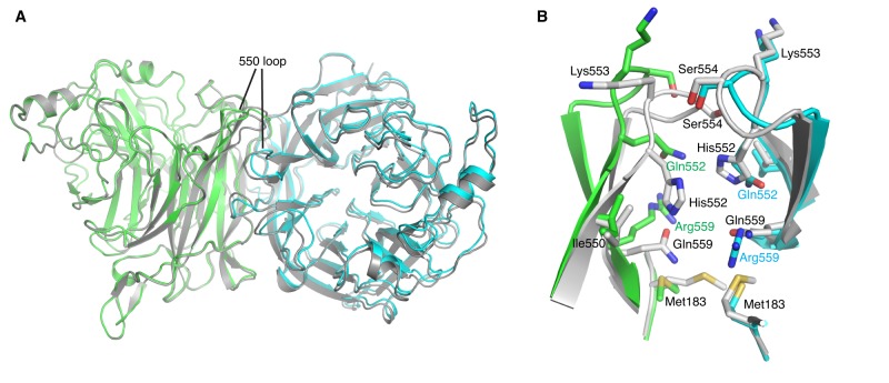 FIG 3 