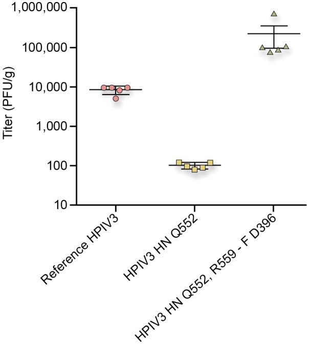 FIG 6 