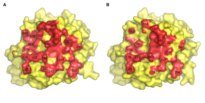 FIG 4 