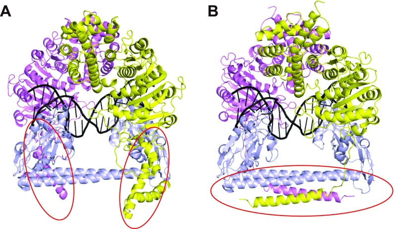 Fig. S5.