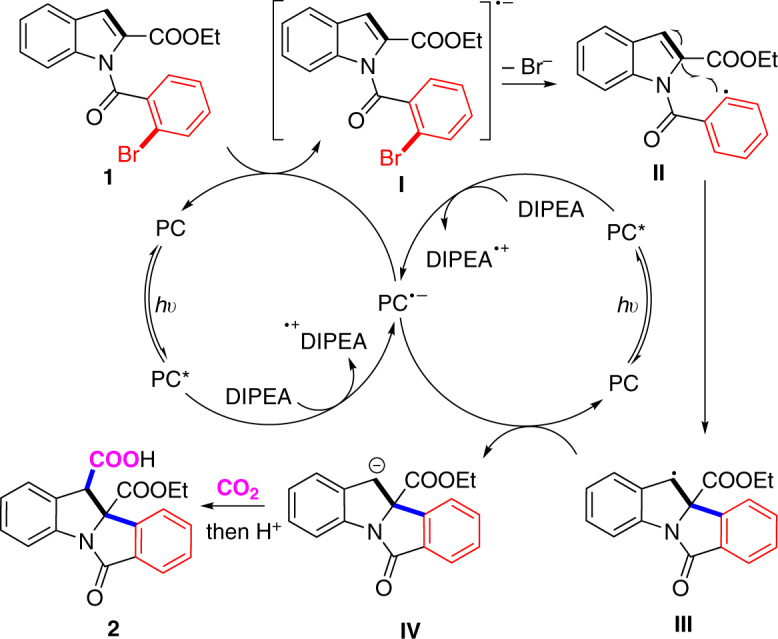 Fig. 8