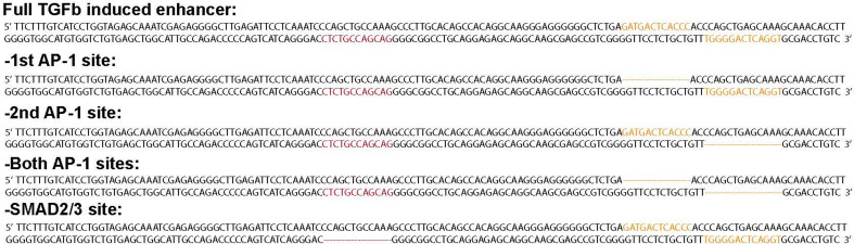 Figure 2—figure supplement 2.