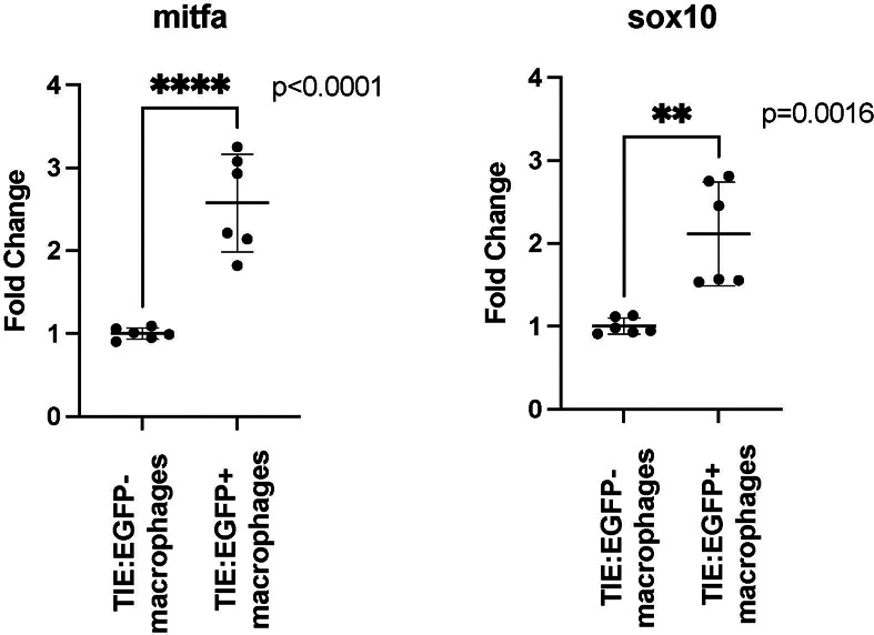 Figure 3—figure supplement 2.