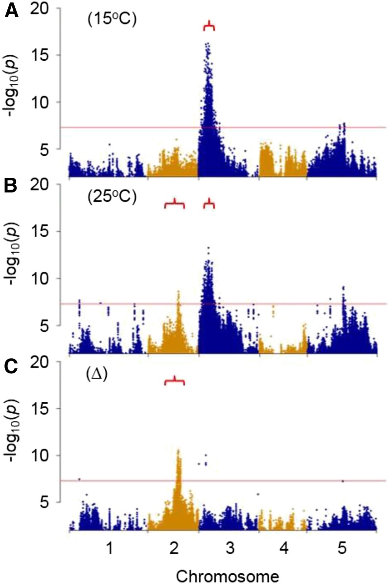 Figure 7.