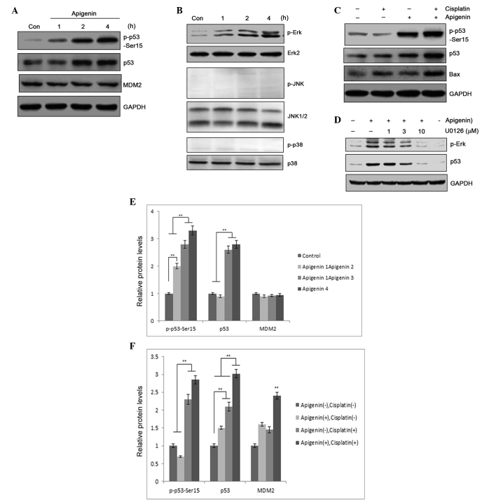 Figure 4.