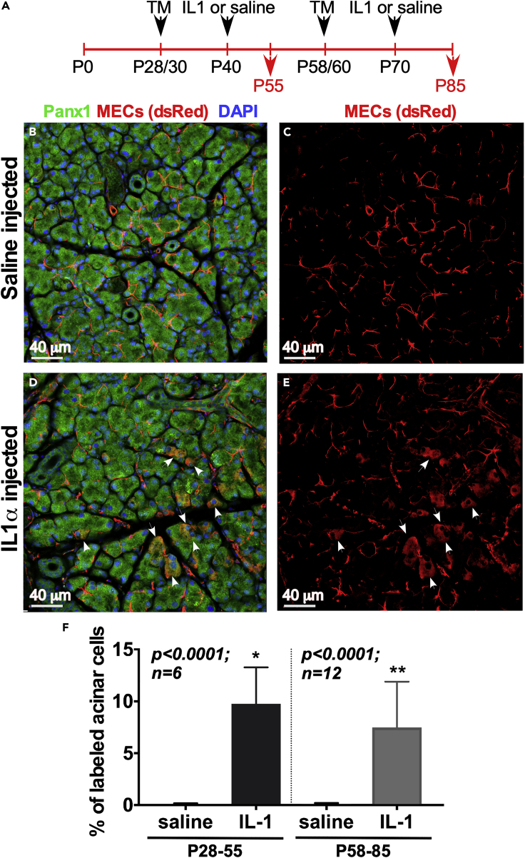 Figure 6