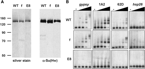 Figure 3.—