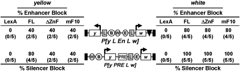 Figure 5.—