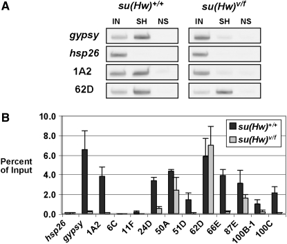 Figure 2.—