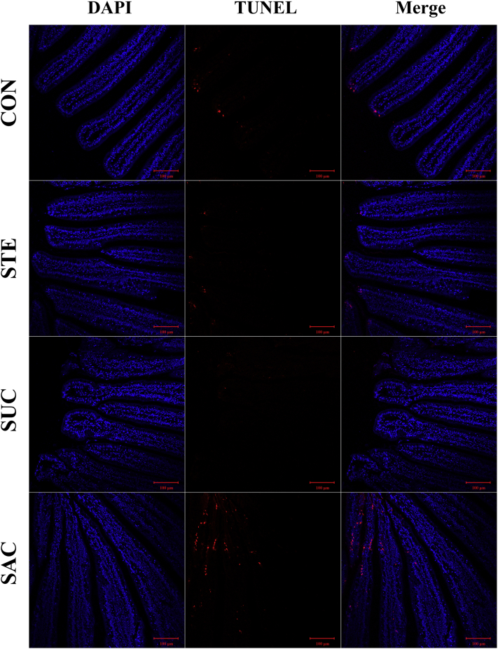 Figure 4