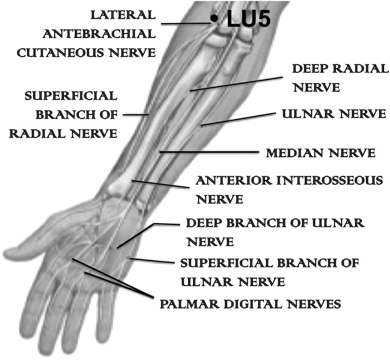 FIG. 1.