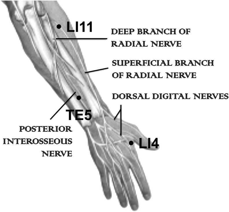 FIG. 2.