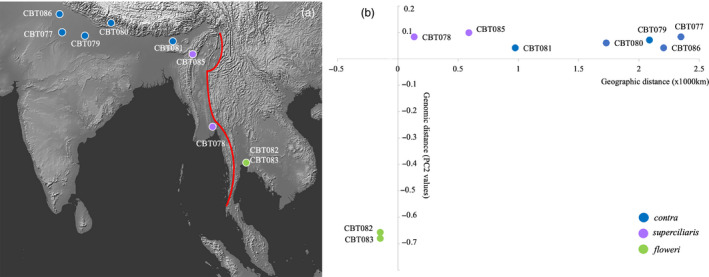 FIGURE 2