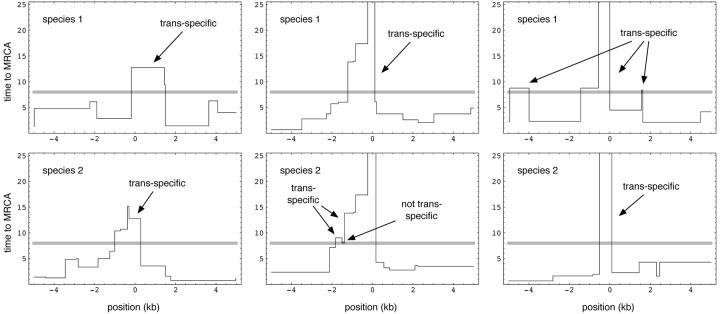 Figure 2.—